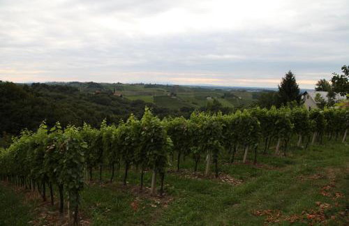 Holiday Home Mađerka - Foto 65