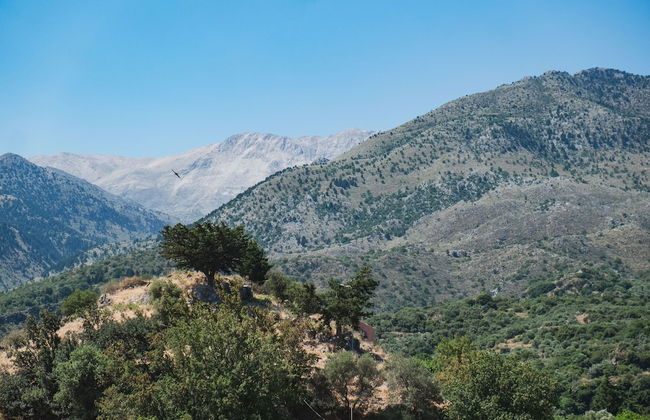 Villa Kalogra - Natural Habitat w. Views - Foto 42