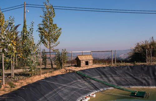 Entre Vinhas & Mar - Foto 67