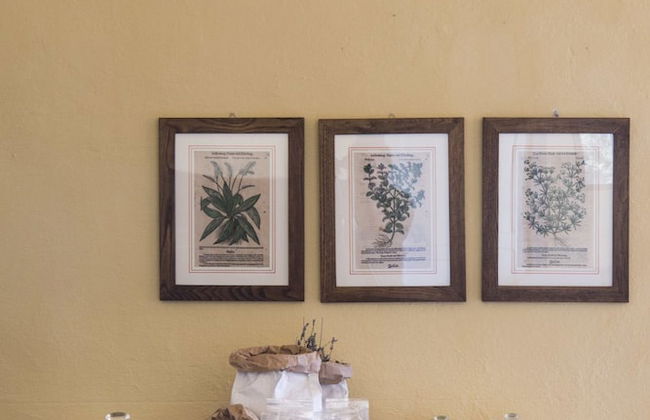 Agriturismo Il Cerreto - Foto 2