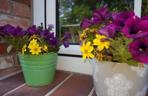 Gulfhof Anelis - Foto 76