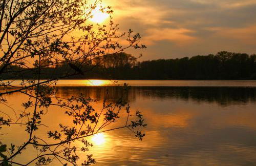Ferienwohnung Auf der Blumenstrasse - Foto 31