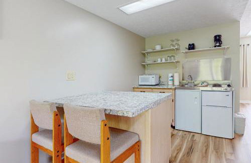 Relaxing Studio Sleeps 4 Near Golf & Douglas Lake - Foto 9