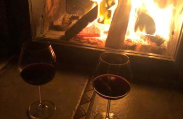 Hortênsiailedefrance - Foto 18