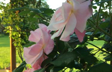 Agriturismo SetteLune - Foto 51