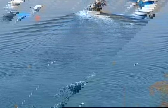 Quayside Apartments - Foto 60