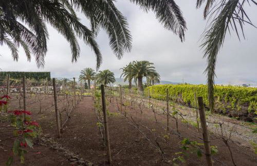 Los Paredones Farm - Private Pool - Garden - Foto 35