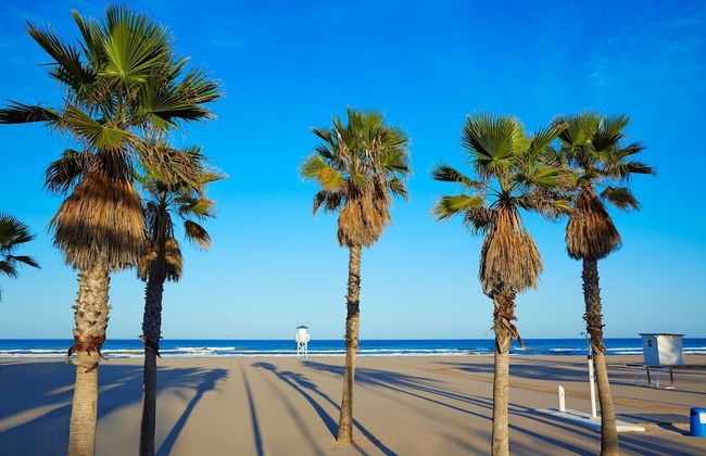 Gourmet in Grau i Platja - Foto 23