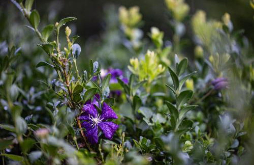 Haus Bergwelten - Foto 10