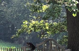 Apartment Gartenblick by Interhome - Foto 21