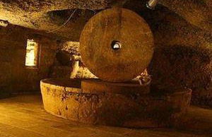 La casa di Beethoven - Foto 20