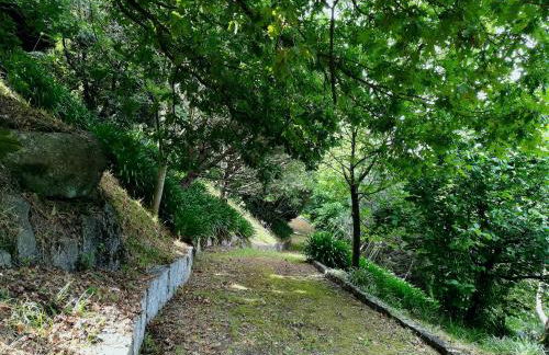 Quinta de S. Vicente 317 - Foto 47