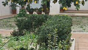 Apartamento Menina San Pedro - Foto 5, Garden view