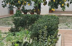 Apartamento Menina San Pedro - Foto 5