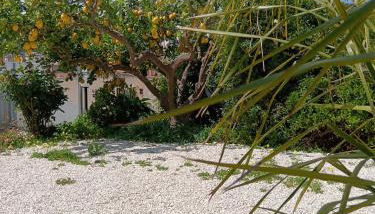 My Sicily Home - Casa con giardino - Photo 1, Garden