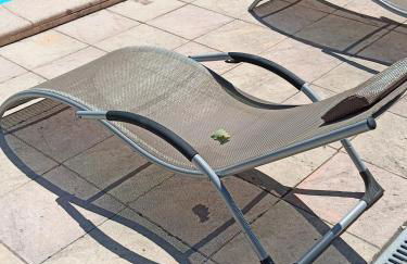 Les Papillons - Photo 3