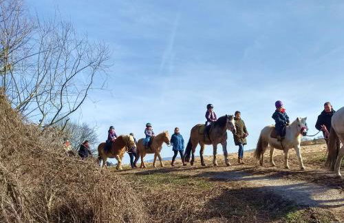 Erdhaus WEST - Ferienhof Bartel - Foto 40
