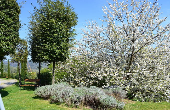 Agriturismo Monte a Pescia - Foto 78