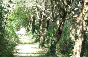 Agriturismo La Casa della Lavanda - Il Casale - Foto 65
