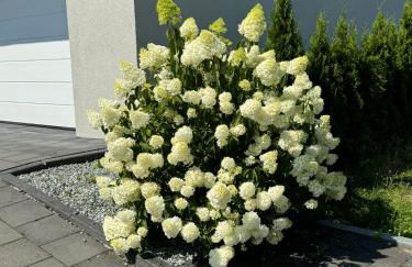 Appartement Max - Foto 53