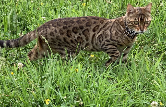Cubby House Stay - Kaikoura - Foto 52