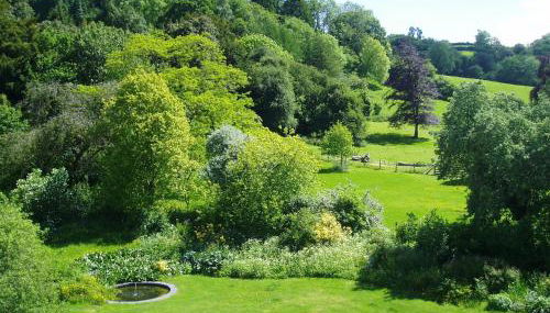 The Forest Country House B&B - Foto 2