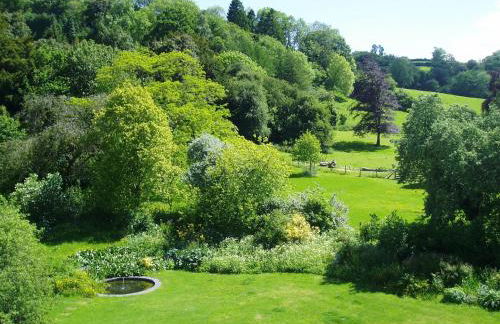 The Forest Country House B&B - Foto 2