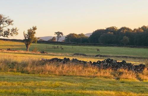 Hollow Brook Cottage A Quiet Peak District Stay Surrounded by Nature Grown-Ups Only - Photo 19