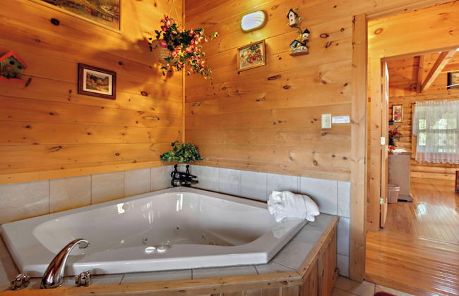 Alpine Ski Lodge - Foto 13