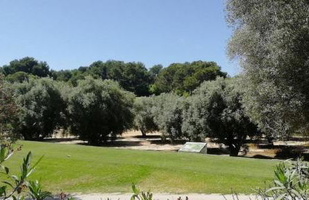 Casa Joleen 1 - Foto 45