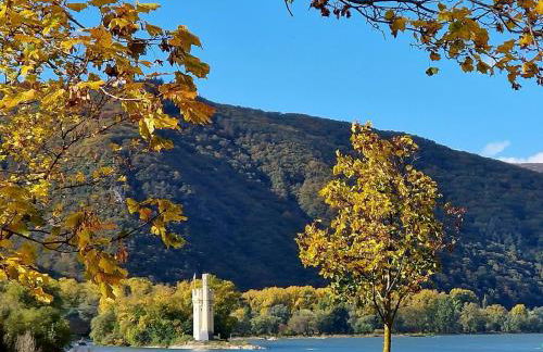 Ferienwohnung Rheinblick - Foto 16