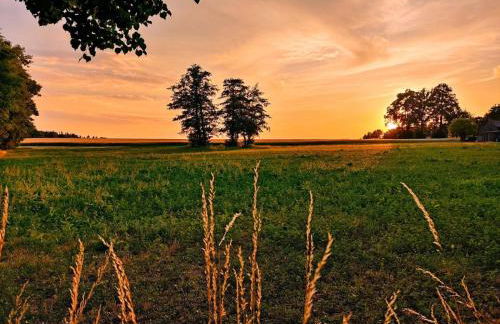 Ferienhaus Ellmi - Foto 13