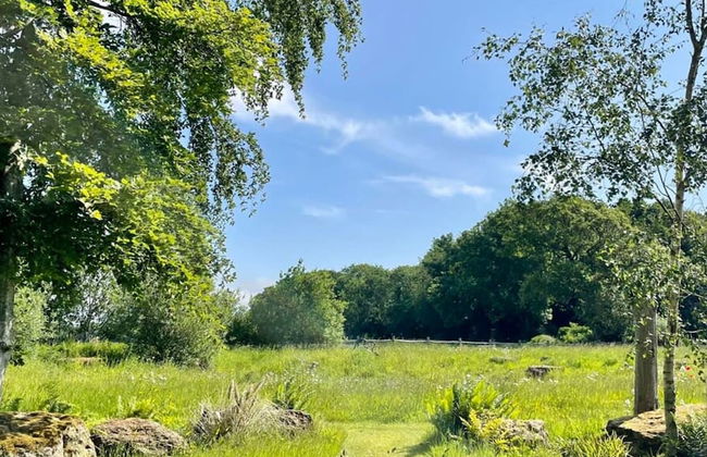 Luxury Countryside Haven for 10 - Photo 34