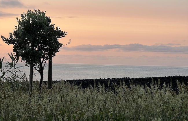 ENTRE MUROS - Foto 46