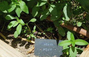 Eco Finca Sa Font Blava - Foto 30