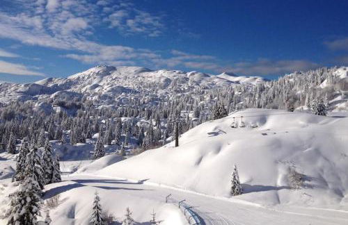 Modern flat per 6 Aviano AC Parking - Foto 20