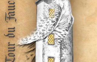 la tour du fauconnier - Photo 17