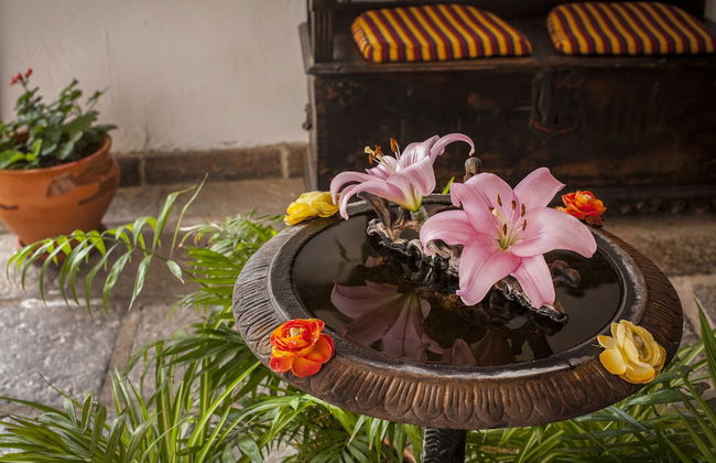 Finca Vista Bonita - Foto 5