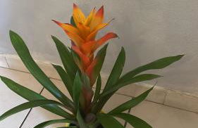 Casa Cleotti - Foto 25