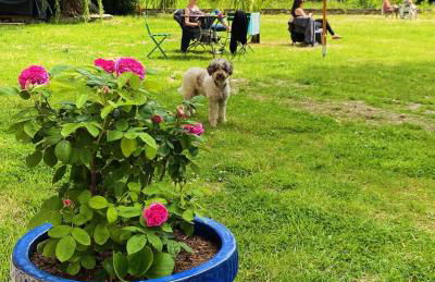 Manoir des Étangs - Foto 46