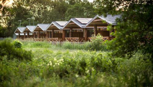 Bliżej Natury - Foto 5