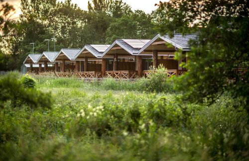 Bliżej Natury - Foto 5