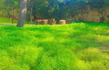 Italomar Home - Foto 12