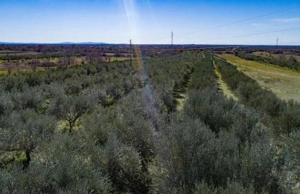 House Villa Karaga - Foto 13