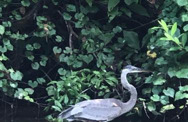 Lokato Lake House - Foto 24