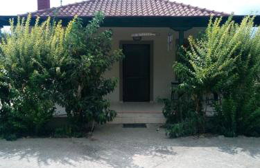 The House in the Mulberries Trees - Photo 4