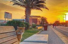 Trilocale Margine Rosso - Foto 60