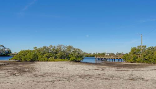 Dtwn Palm Harbor Condo Walk to Water! - Photo 4