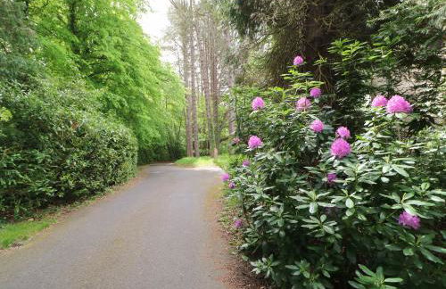 The Coach House - Foto 38