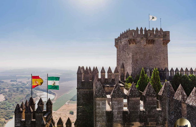 Castle of Almodóvar del Río Ticket - Foto 7